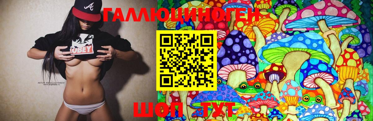 Псилоцибиновые грибы Psilocybe  Псилоцибиновые грибы ЛСД  Хабаровск  Вход с VPN 
